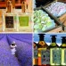Collections