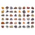 Collections